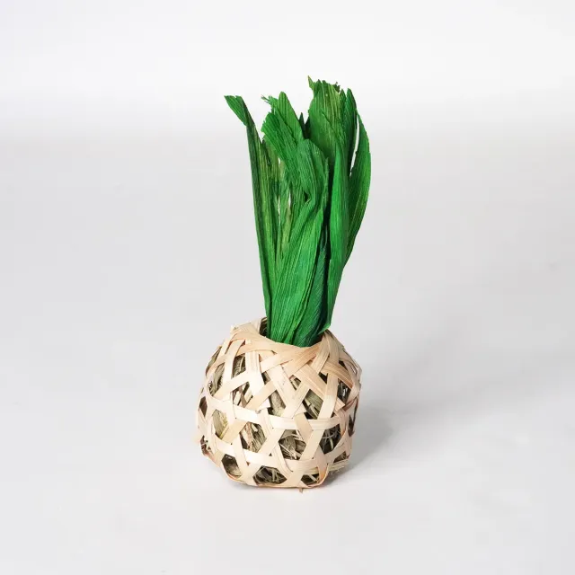 Jouw Konijn Originals Pineapple Crunch knaagspeelgoed