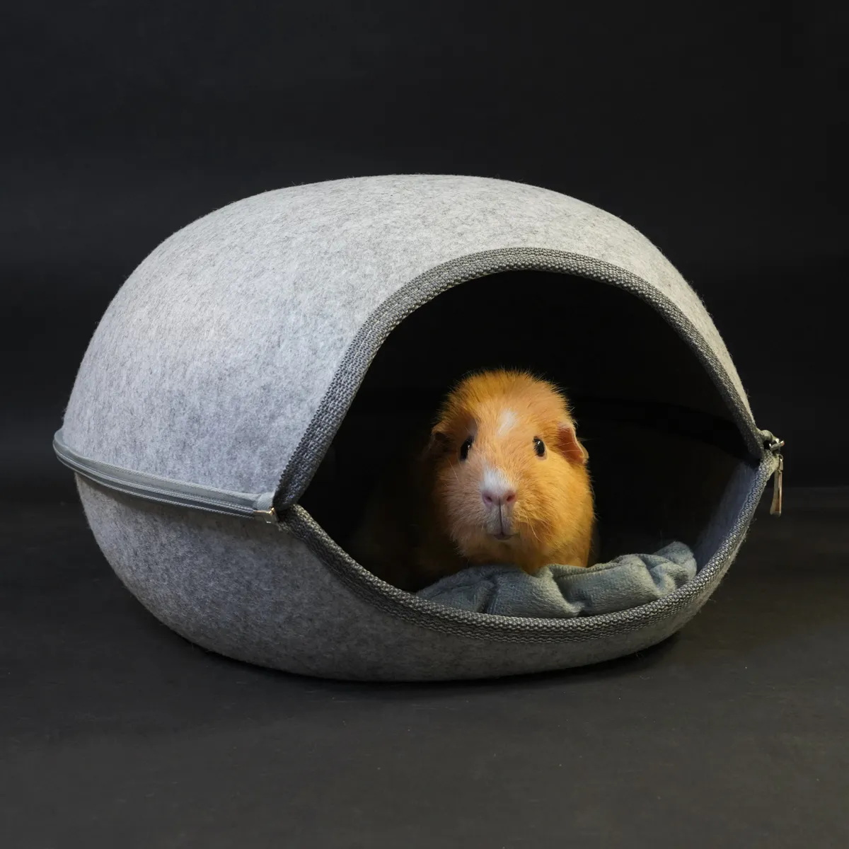 Jouw Cavia Soft hiding shell schuilhuis vilt met kussen