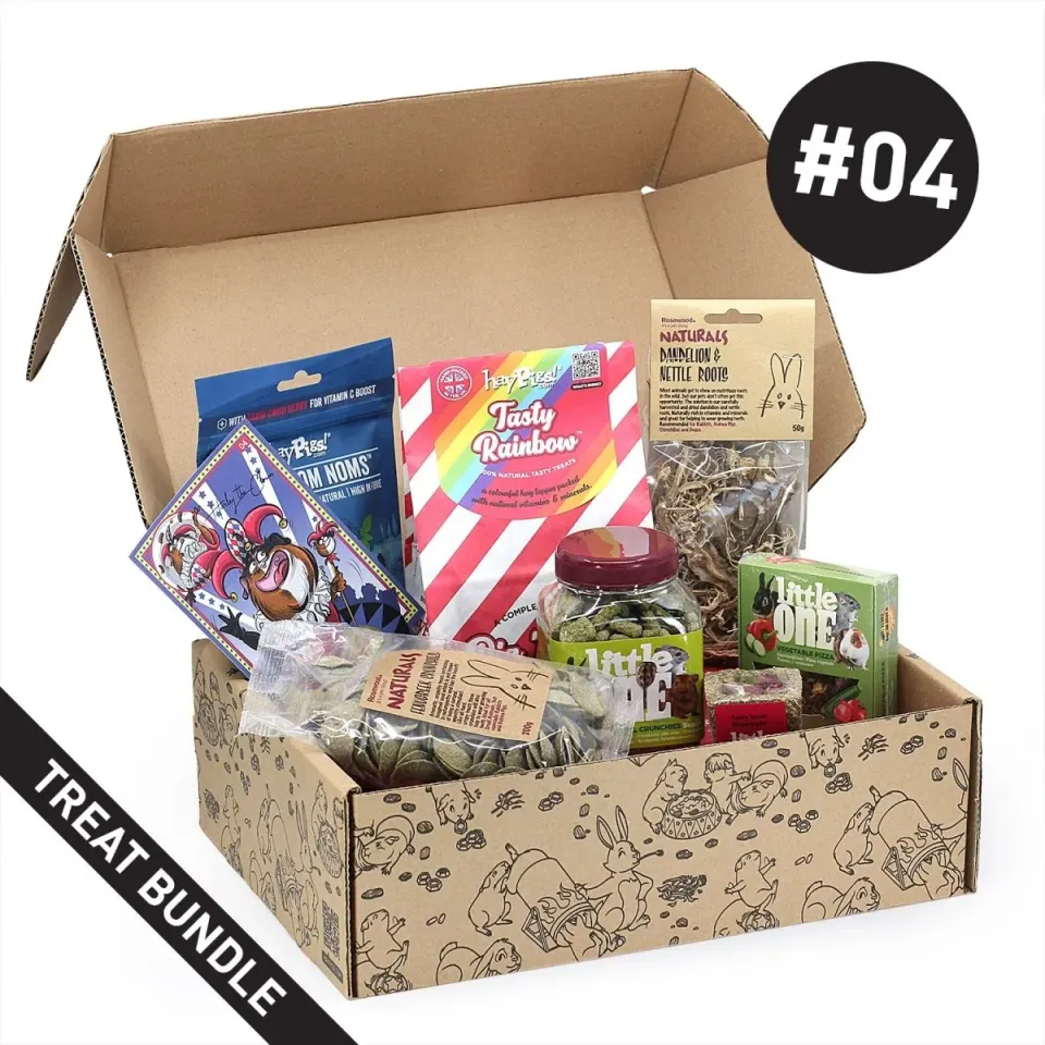 HayPigs Treat Box 04 snackbox cavia konijn 7 snacks