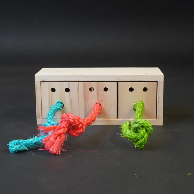 Jouw Cavia Pull & Find Wood denkspel hout puzzel