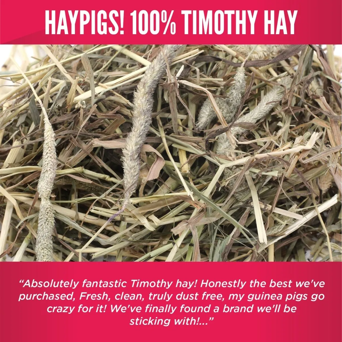 HayPigs Timothy Hay hooi 8x1kg 1e snede vezelrijk