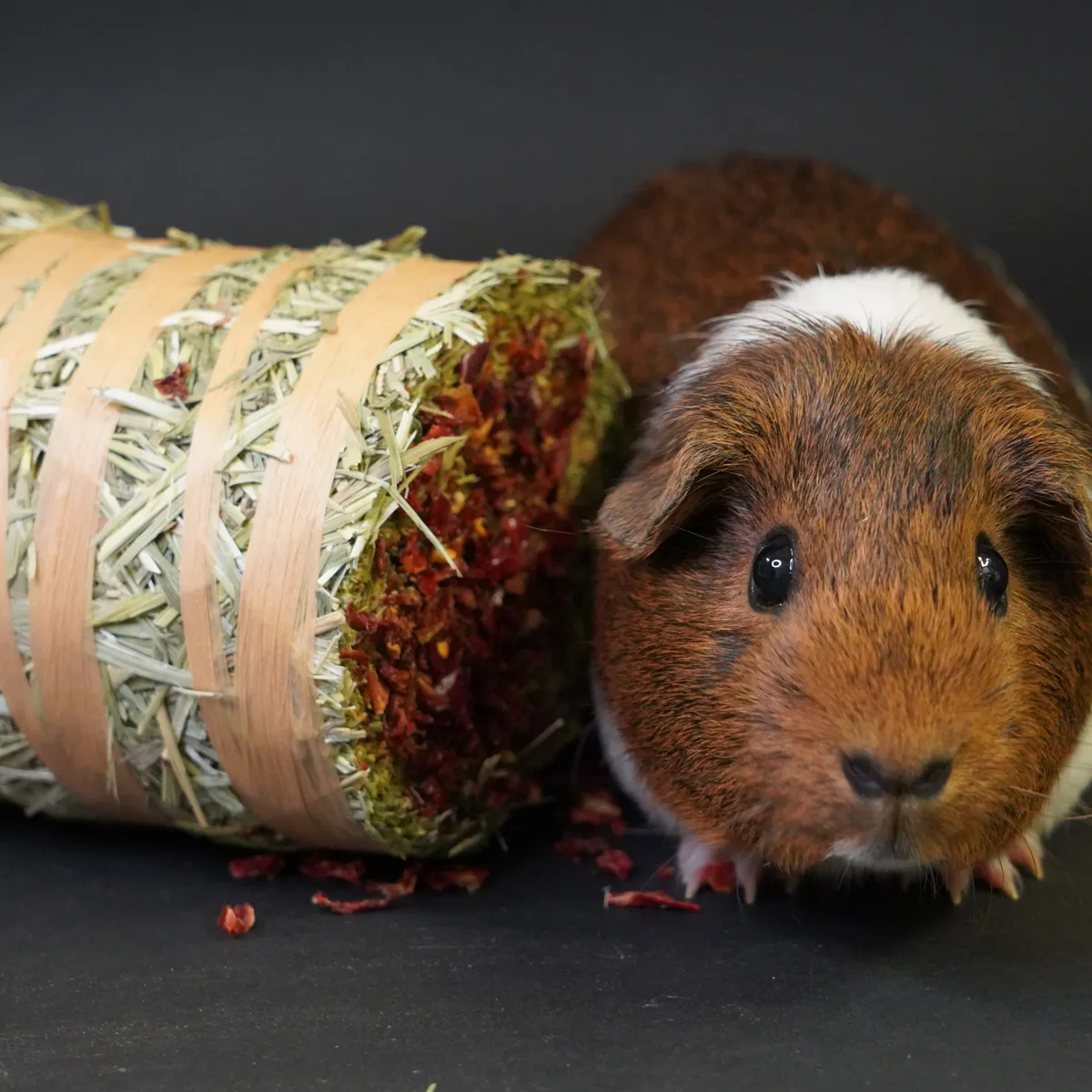 Jouw Cavia Hay Cake hooikoek rozenbottel cavia vezelrijk