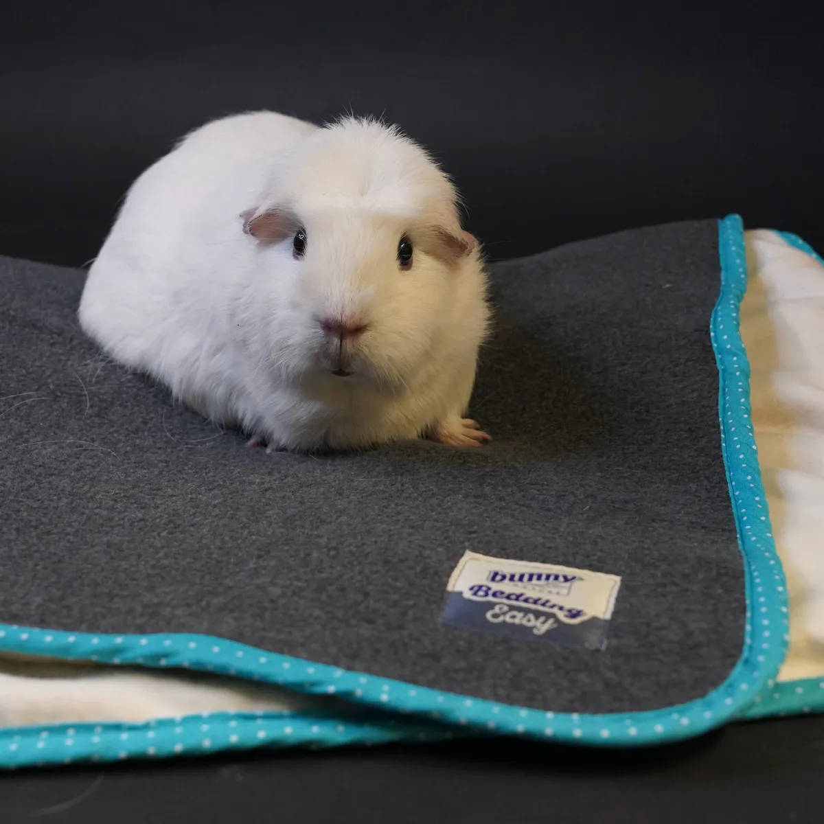 Jouw Cavia Relax & Chill Mat m blauw absorberend