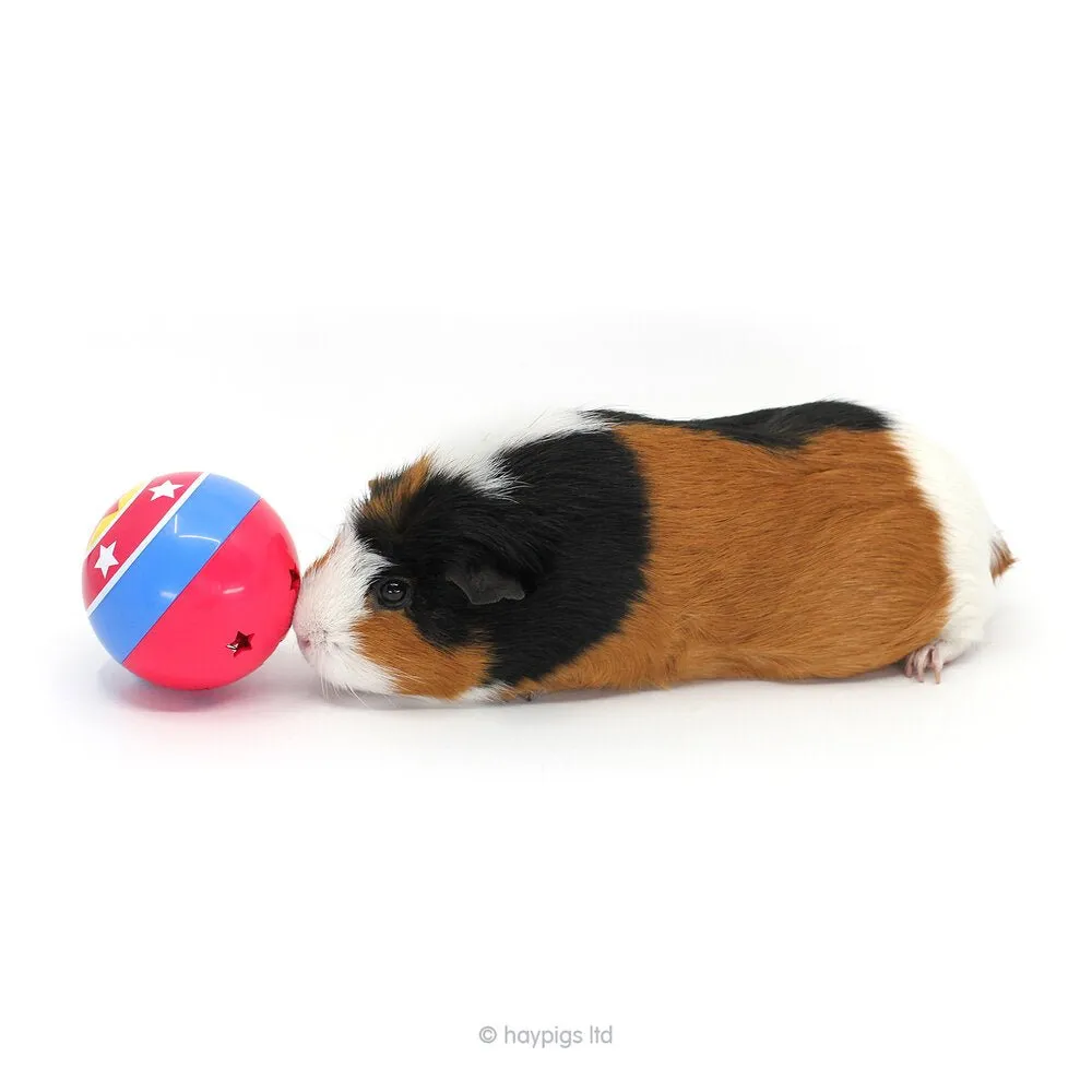 HayPigs Circus Treat Ball bundel snackbal met erwtenvlokken 3x230g