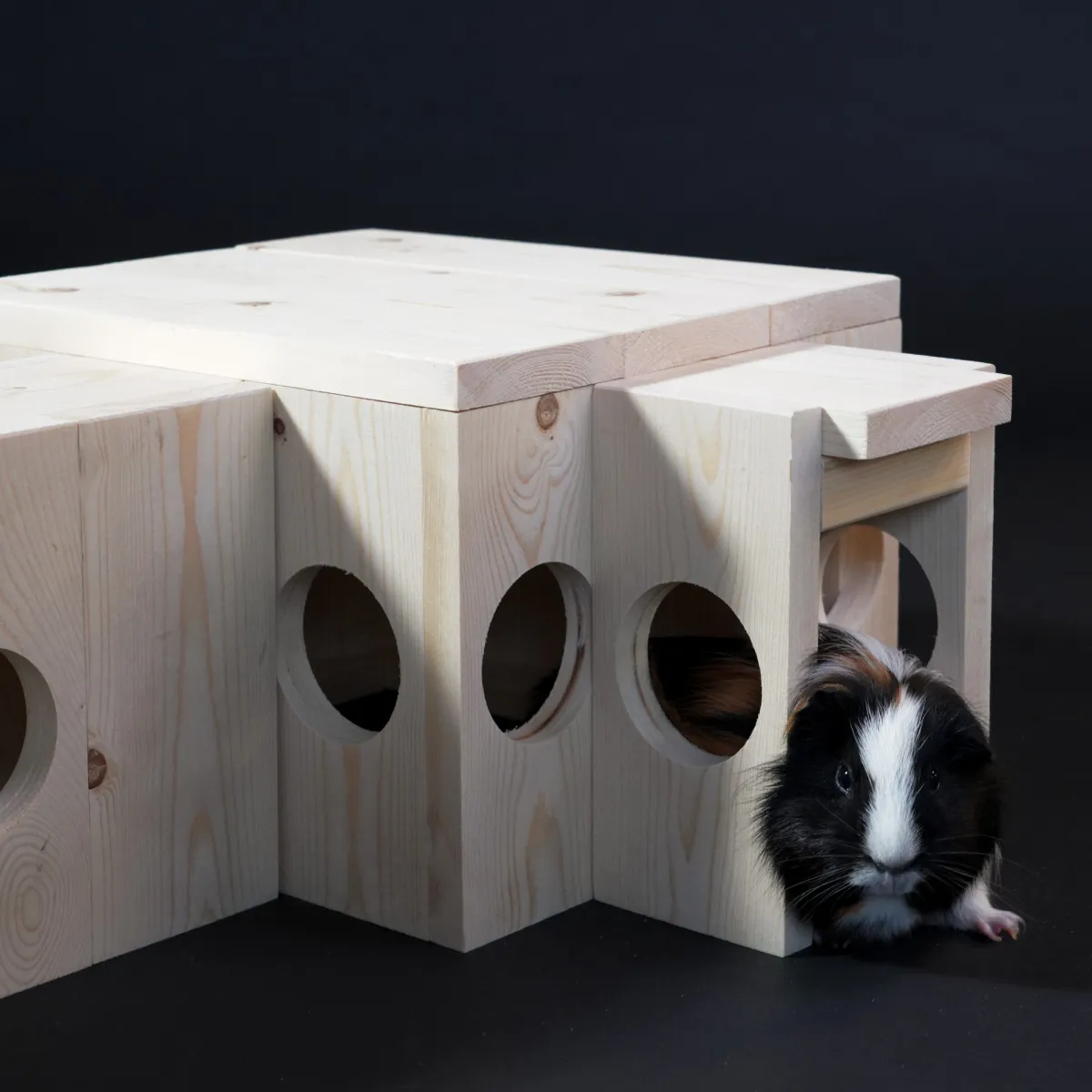 Jouw Cavia Bragi tunnel M houten schuiltunnel vuren