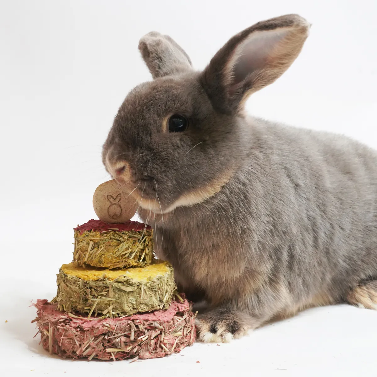 Jouw Konijn Originals celebration cake snack verjaardag