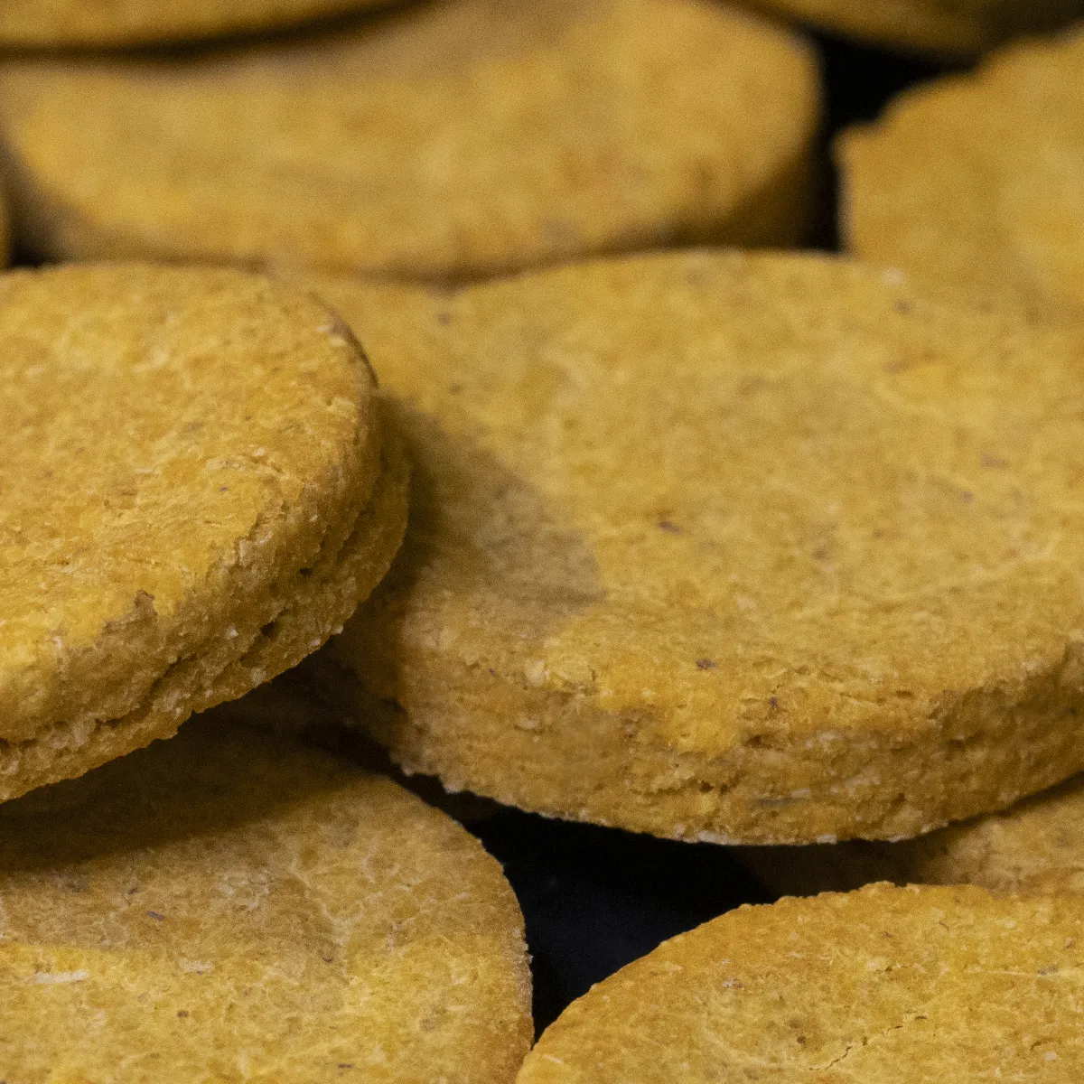 Jouw Cavia Crispy Carrot Cookies cavia koekjes wortel