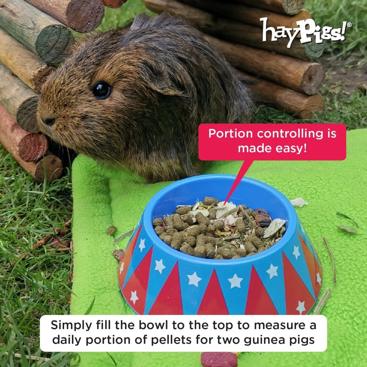 HayPigs Junior Food Tamer voerbakje mini kantelvast