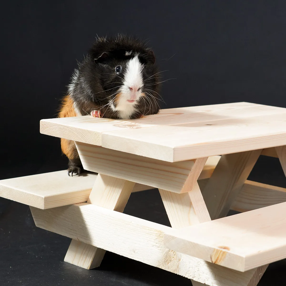 Jouw Cavia Picknicktafel S schuilplek hout klein