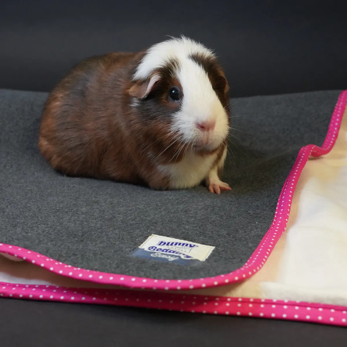 Jouw Cavia Relax & Chill ligmat M roze
