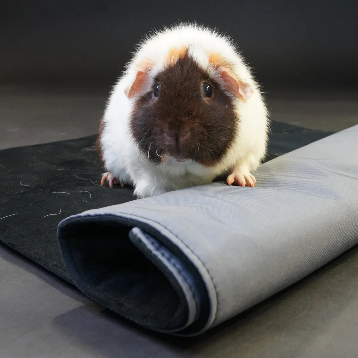 BIABED Piggie Mat S waterdichte ligmat grijs