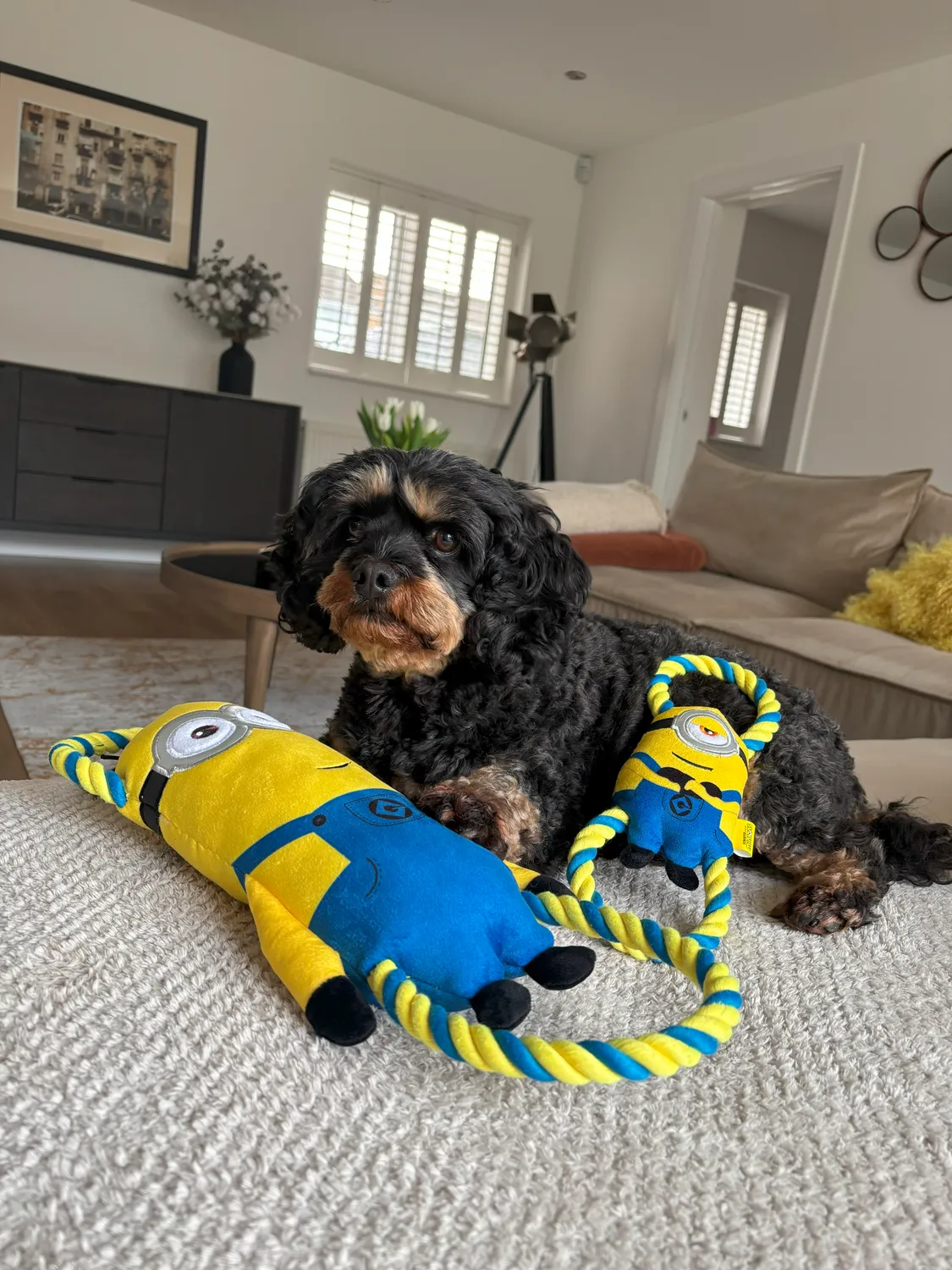 Nature First Minion Double Tug Stuart hondenspeelgoed small