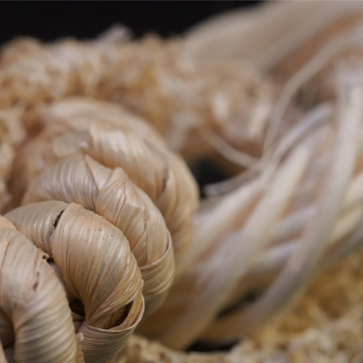 Jouw Cavia Luffaringen knaagspeelgoed 100% natuurlijk