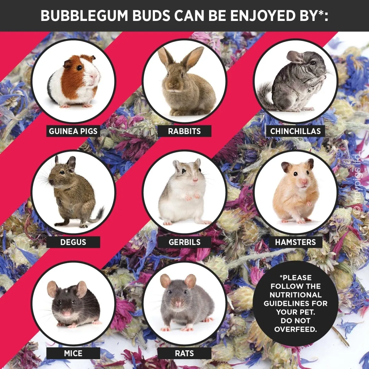 HayPigs Bubblegum Buds snack 50g pot