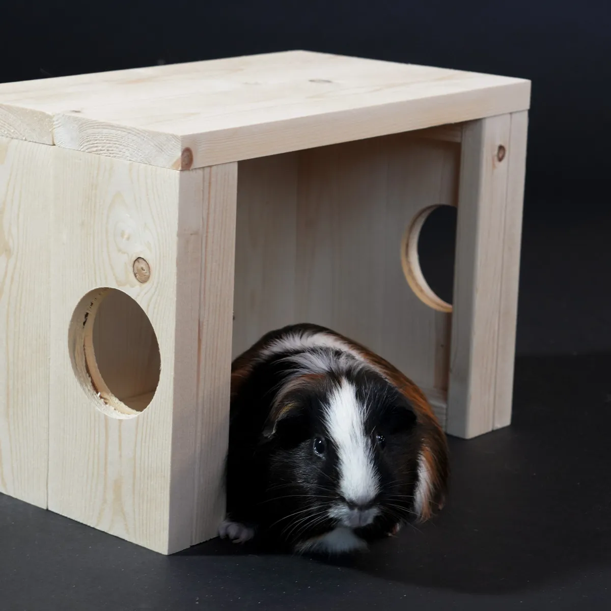 Jouw Cavia Bragi Schuilschuur houten schuilhok vuren