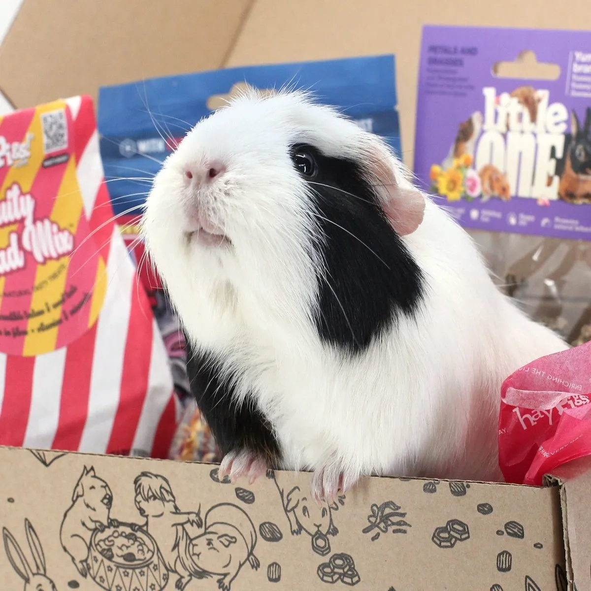 HayPigs Treat Box 01 snackbox cavia konijn 7-delig