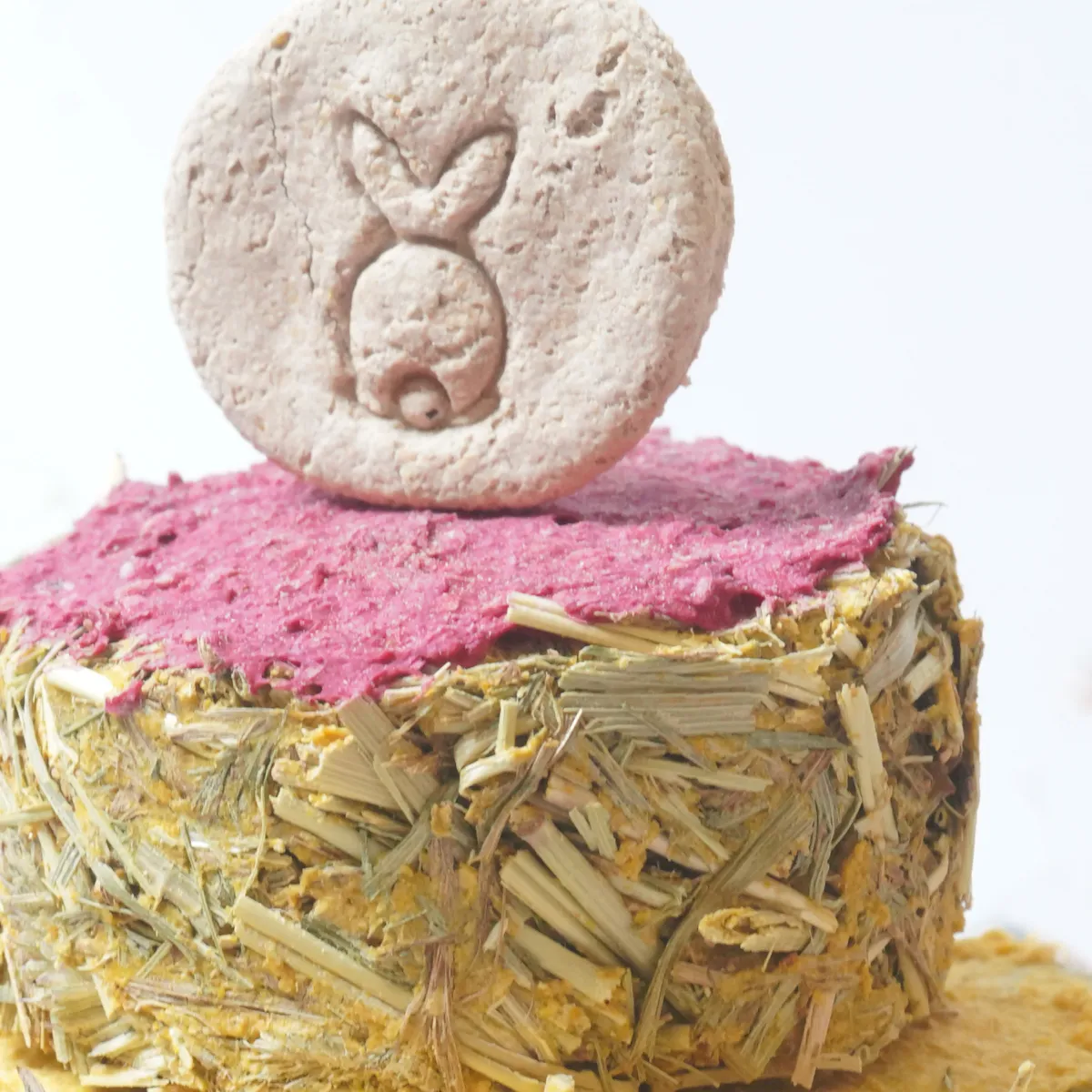 Jouw Konijn Originals celebration cake snack verjaardag