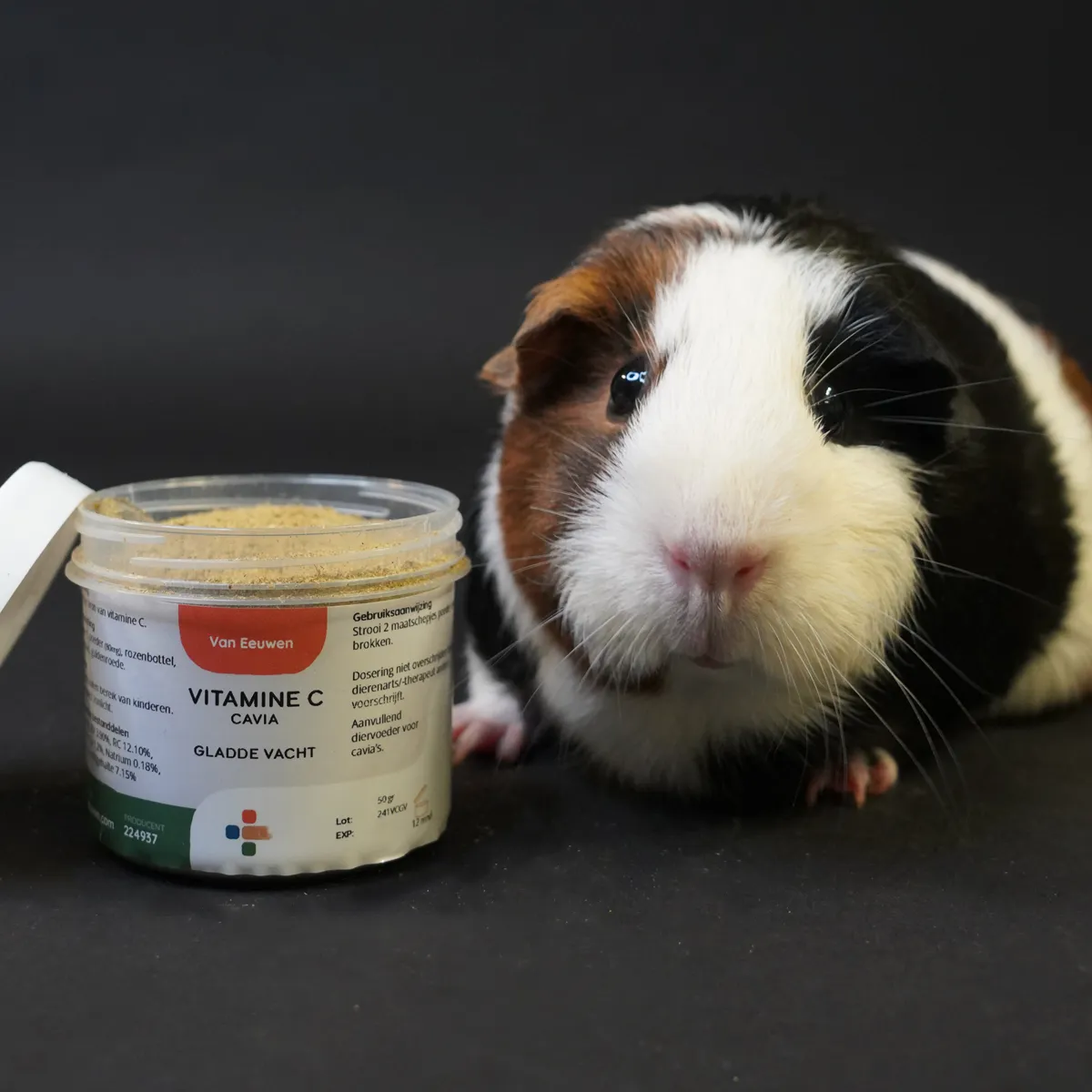 Jouw Cavia Vitamine C Gladde Vacht supplement