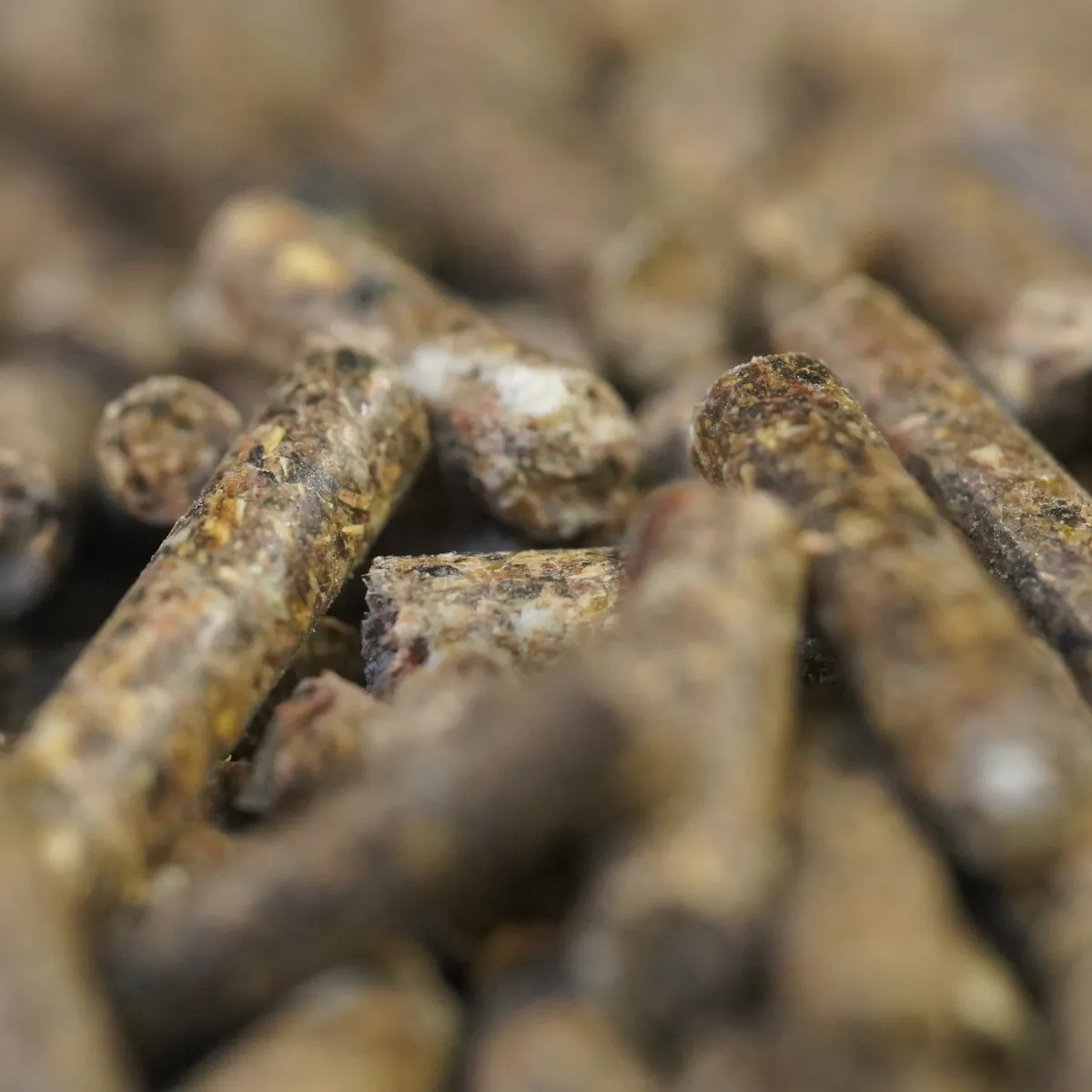 Jouw Cavia KonaCorn caviakorrel met vitamine C
