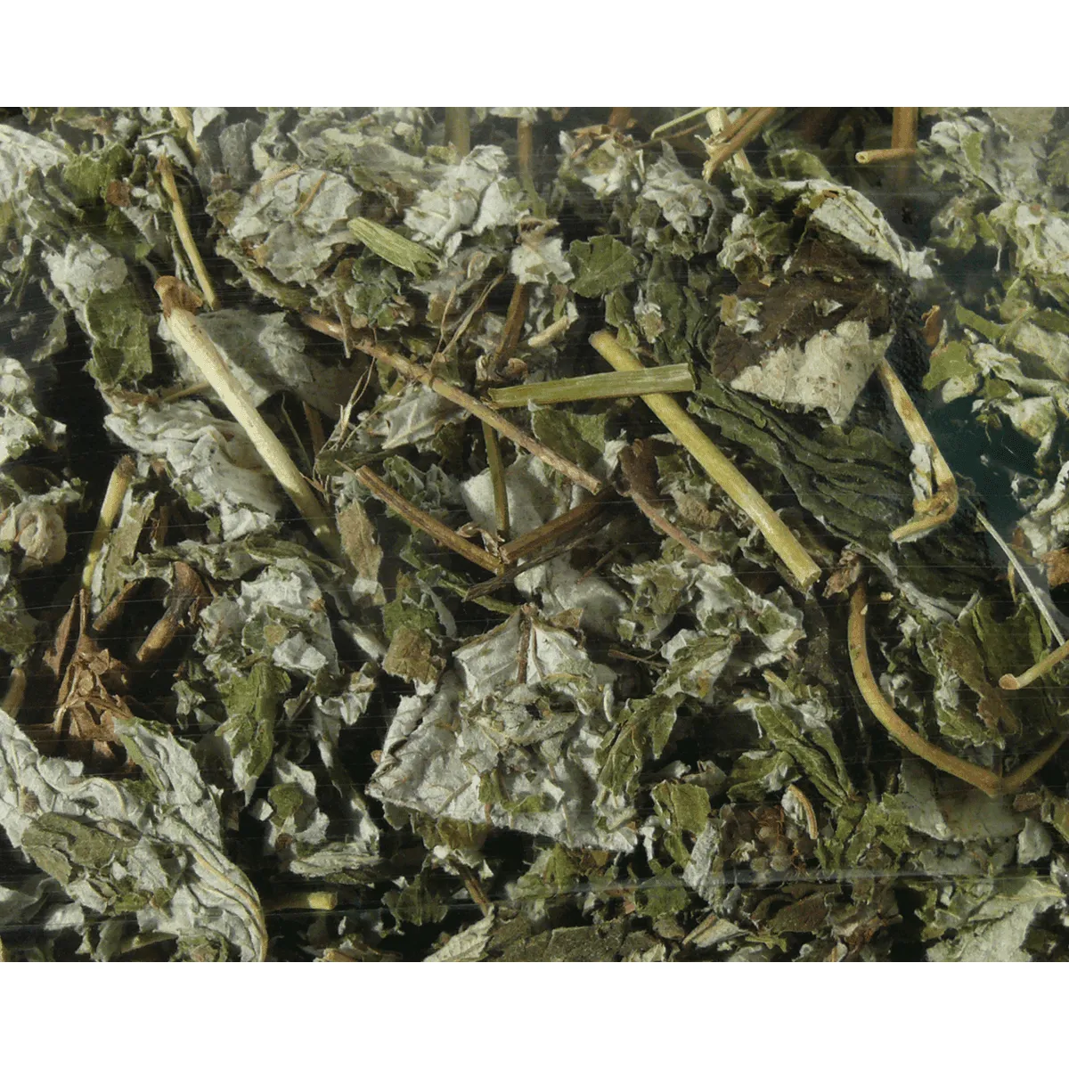 Bounty Paradise NT frambozenblad knaagvoer 80 gr