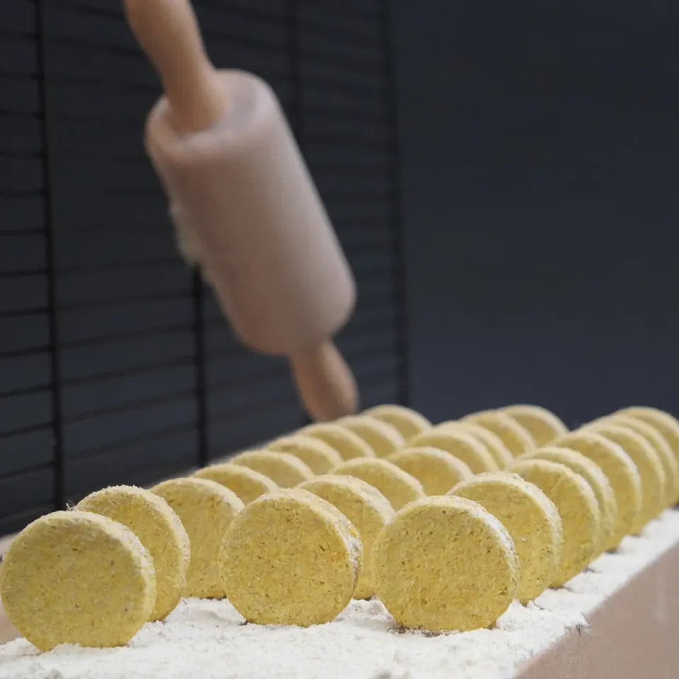 Jouw Cavia Mango Dream Cookies caviasnack mango