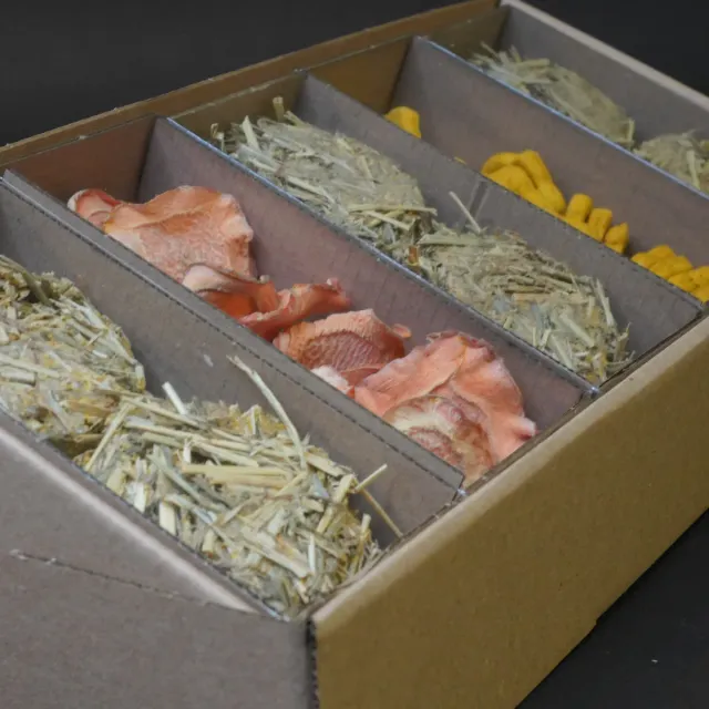 Jouw Cavia Amber Box snackbox voor cavia natuurlijk