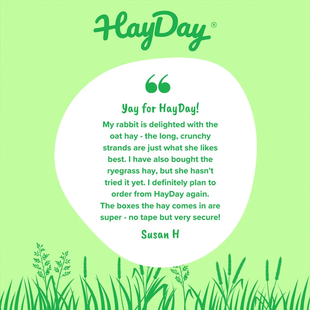 HayDay Oat Hay haverhooi 1kg vezelrijk