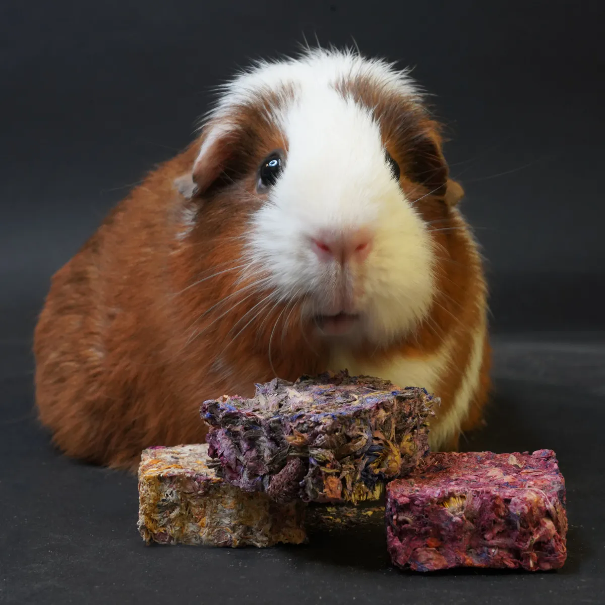 Jouw Cavia Herb Chunks kruidensnack mix gezond