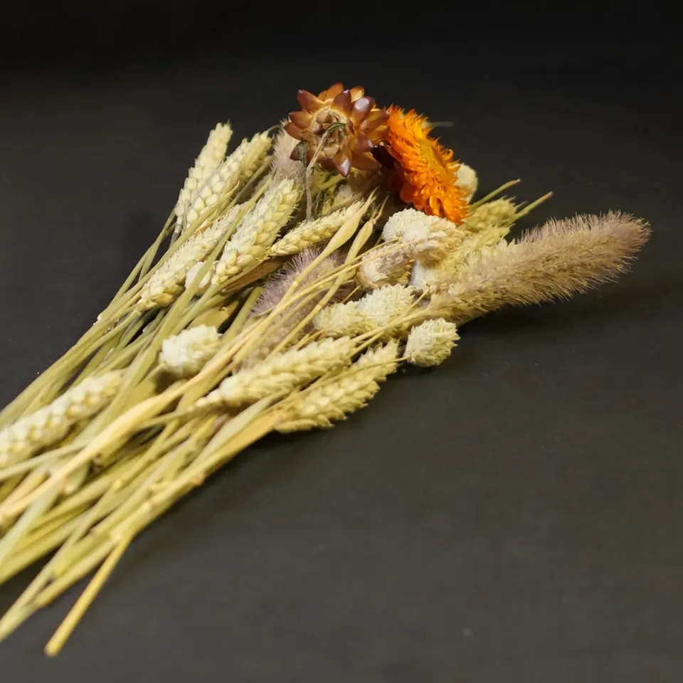 Jouw Cavia Nibble Bouquet knaagboeket cavia natuurlijk