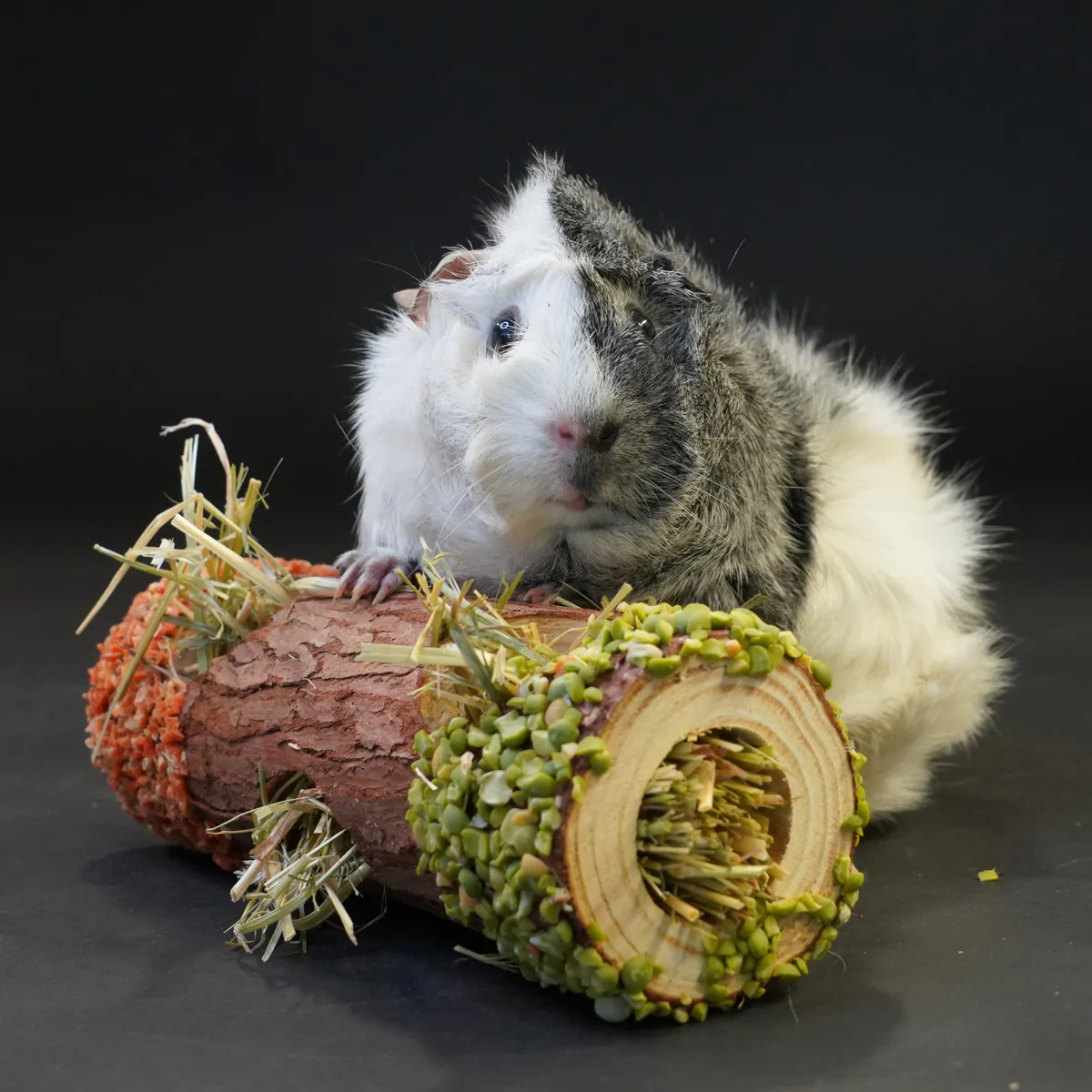 Jouw Cavia Snackstam S snackhouder navulbaar hout