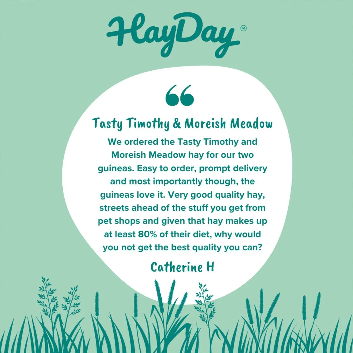 HayDay Moreish Meadow weidehooi 1 kg vezelrijk zacht