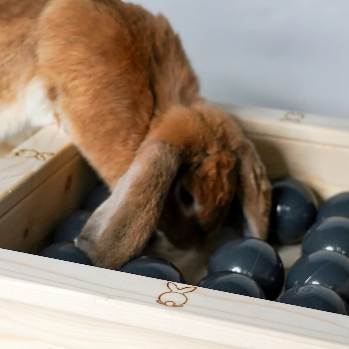 Jouw Konijn Originals Ballenbak konijn hout handgemaakt