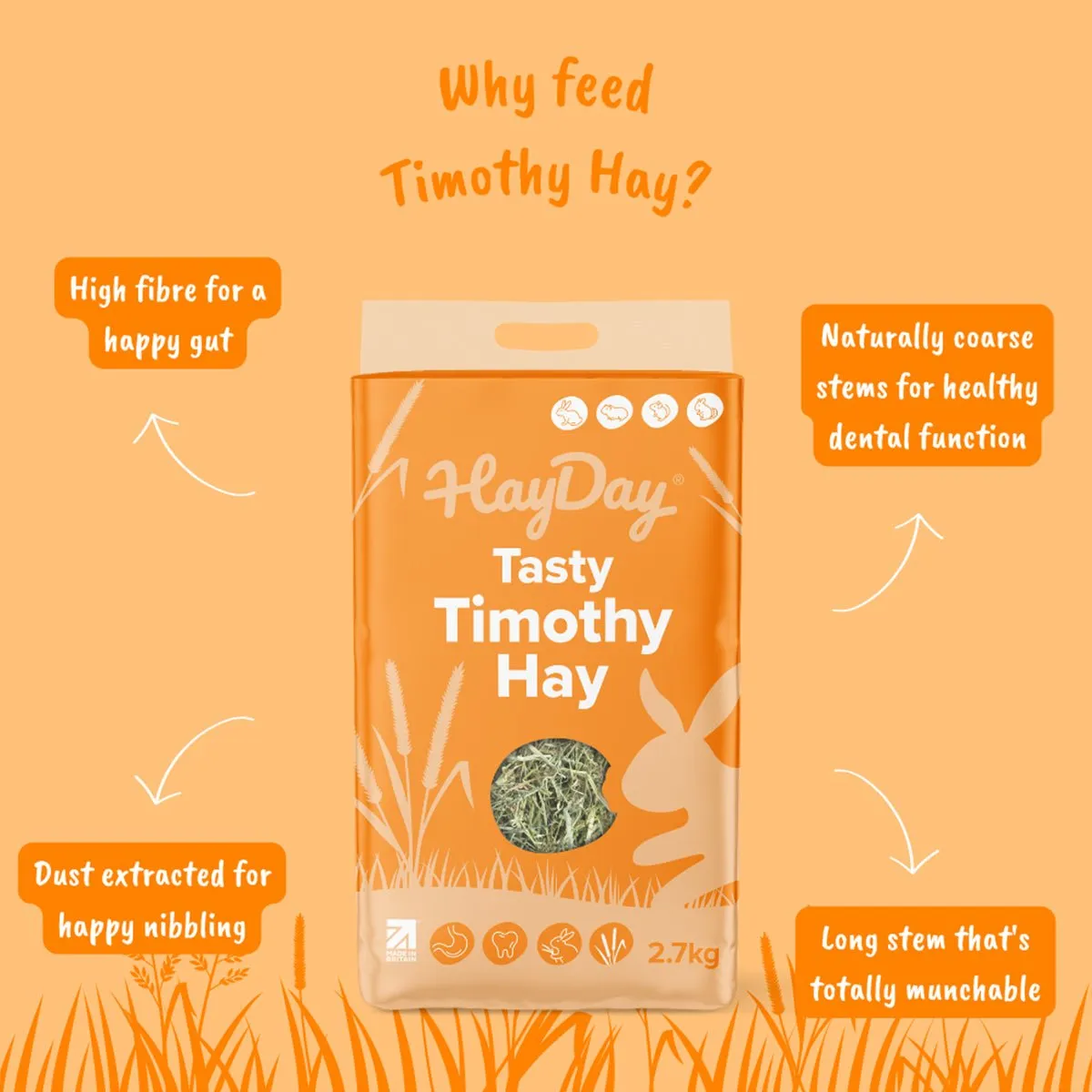 HayPigs HayDay Tasty Timothy hooi 2,7 kg vezelrijk