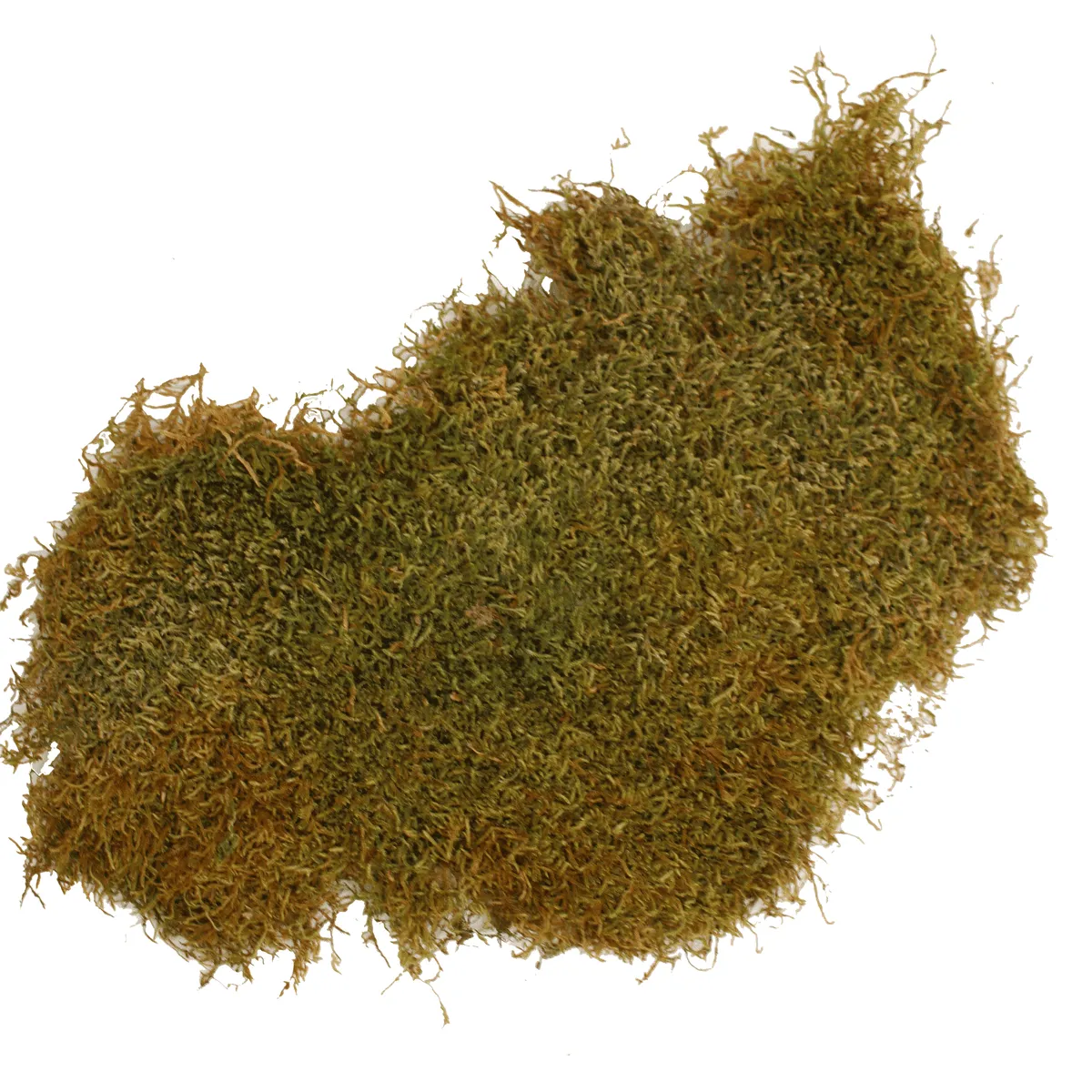Bounty Paradise TH mosplaat terrarium 35 gram natuurlijk