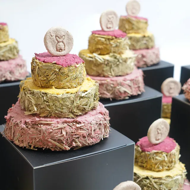 Jouw Konijn Originals celebration cake snack verjaardag
