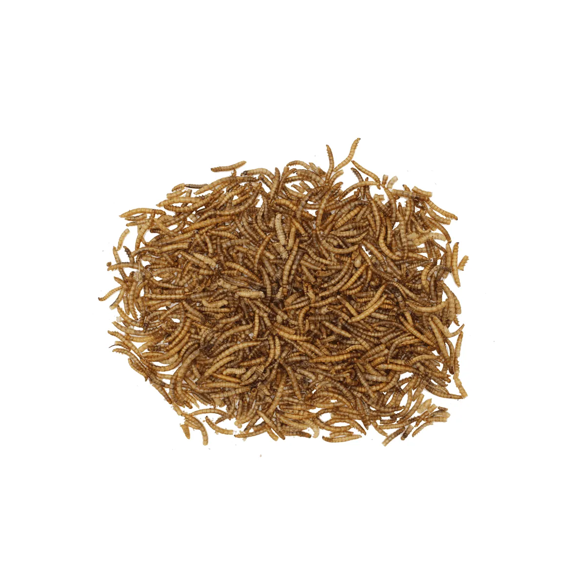 Bounty Paradise NT Meelwormen 200 gram gedroogd eiwitrijk