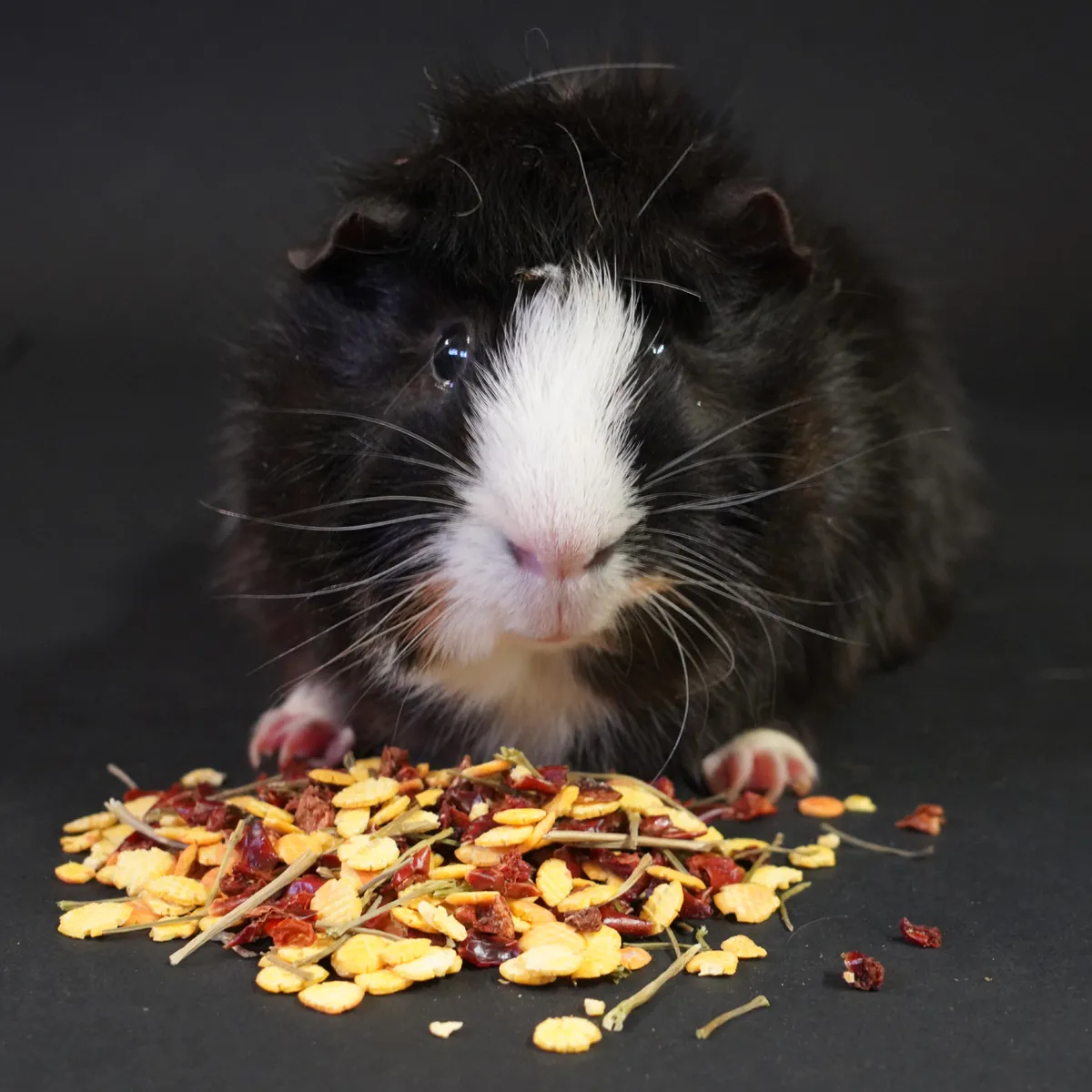 Jouw Cavia Snackmix cavia snack paprika peterselie
