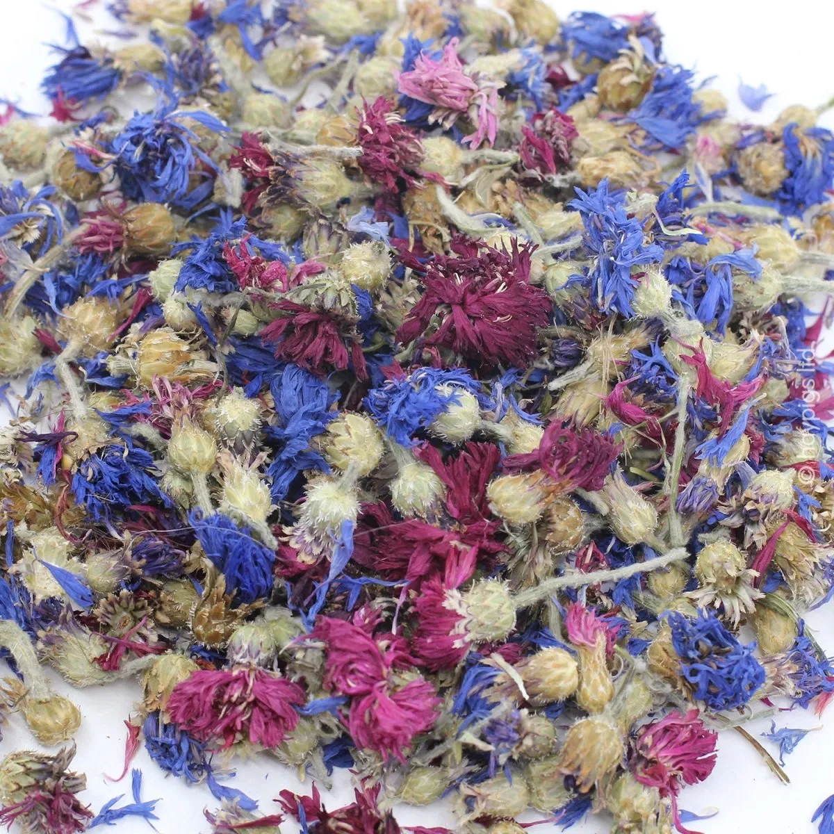 HayPigs Bubblegum Buds korenbloem cavia 6 x 100 g rood blauw