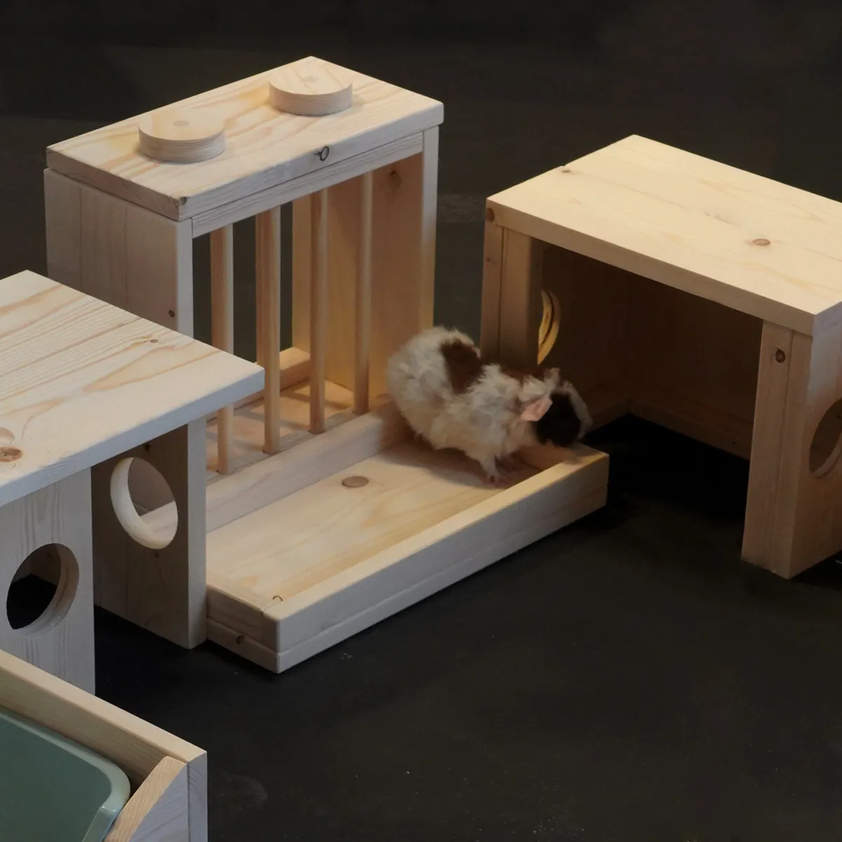 Jouw Cavia Kruidenschaal Wood M voerbak hout handgemaakt