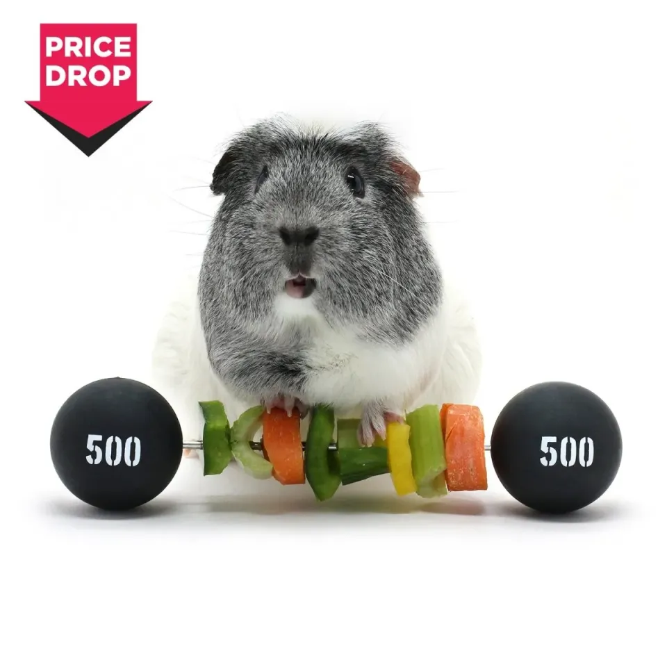 HayPigs Piggy Weightlifter groentespies 21,5 cm