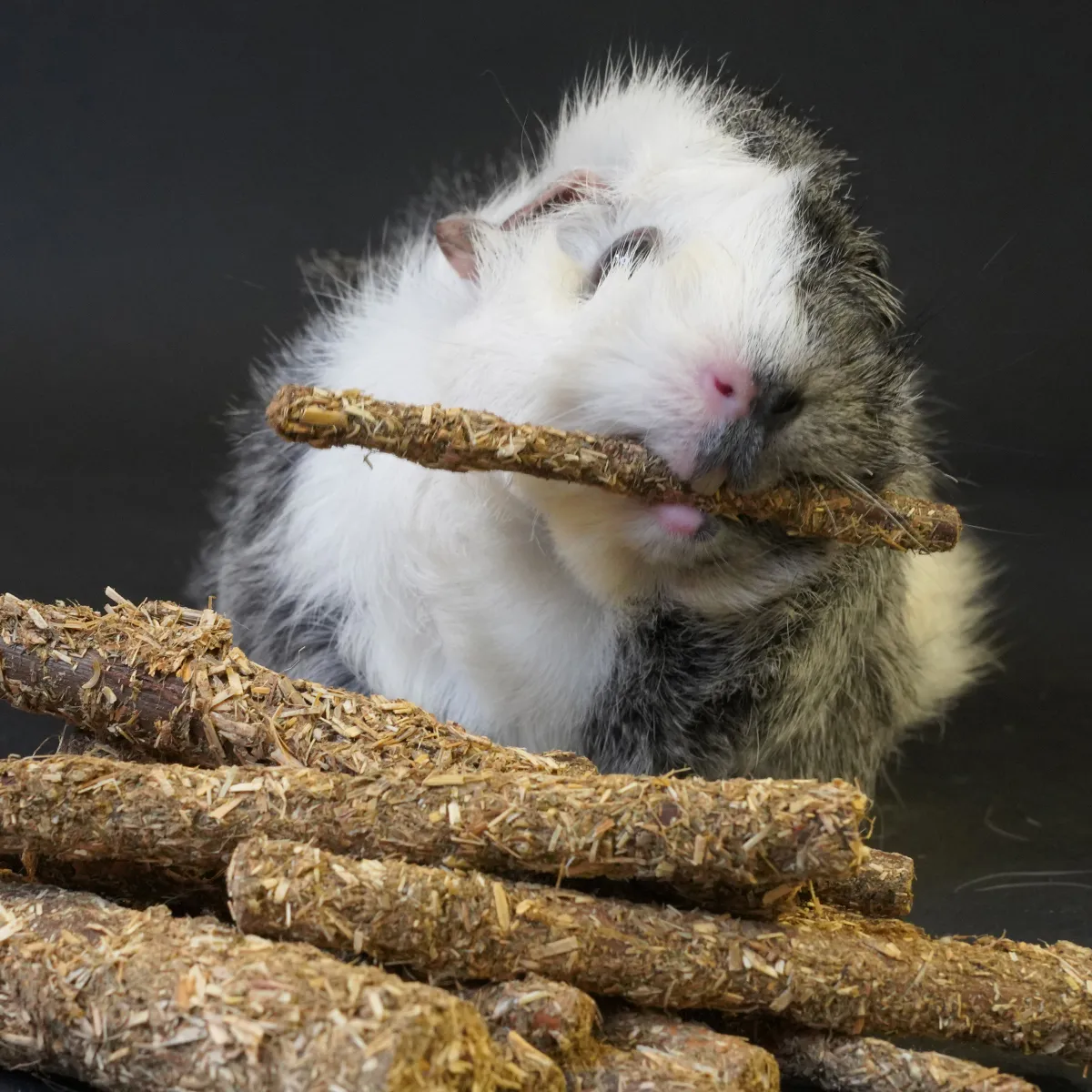Jouw Cavia Knabbelhout snack wilg luzerne