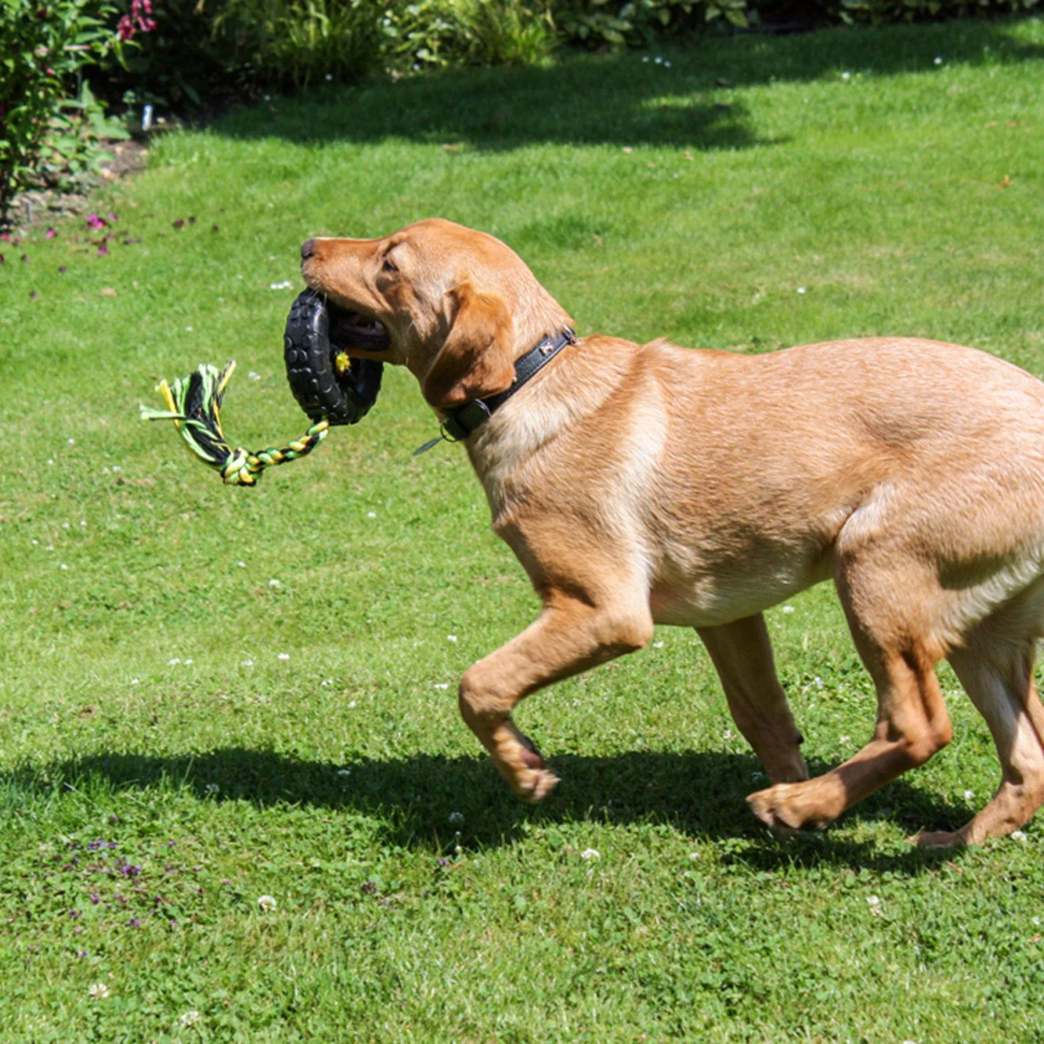 Nature First Grrrelli Tyre Tugger trekspeeltje hond rubber