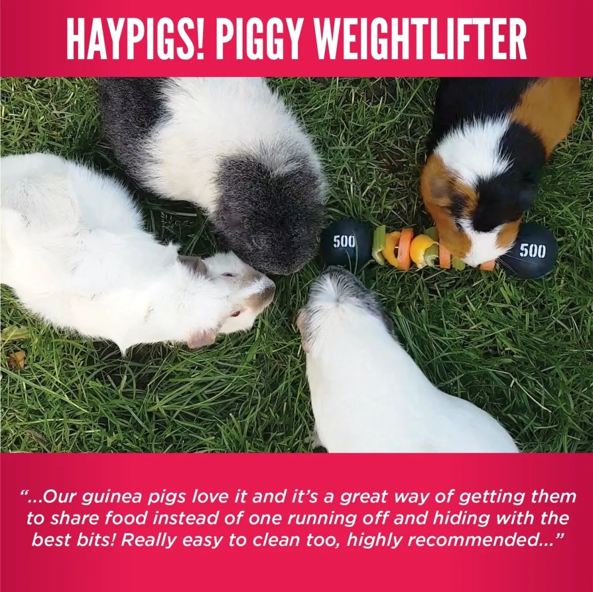 HayPigs Piggy Weightlifter groentespies 21,5 cm