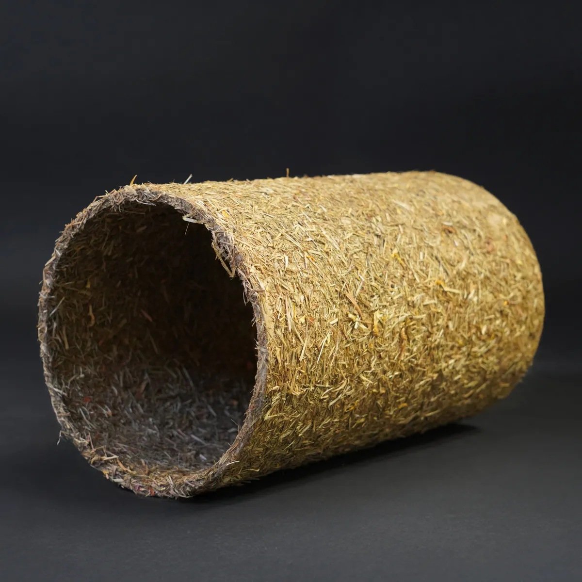 Jouw Cavia Bloemenweide tunnel S voor cavia