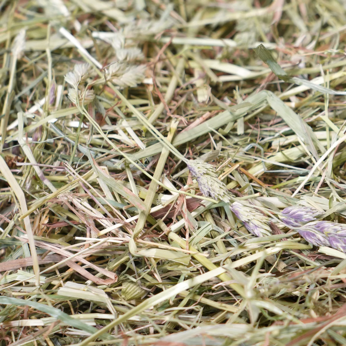 Jouw Cavia Nature's Secret hooi cavia structuurmix
