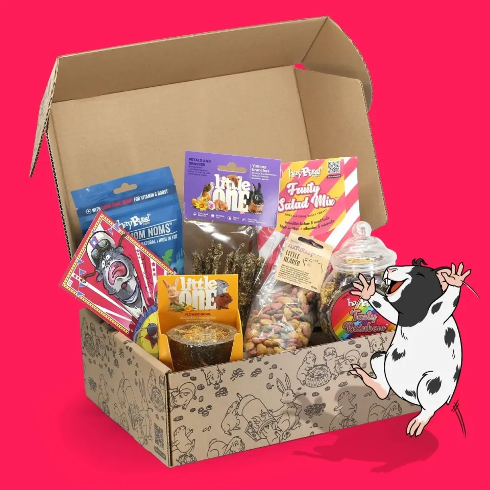 HayPigs Subscription Box verrassingsbox cavia konijn