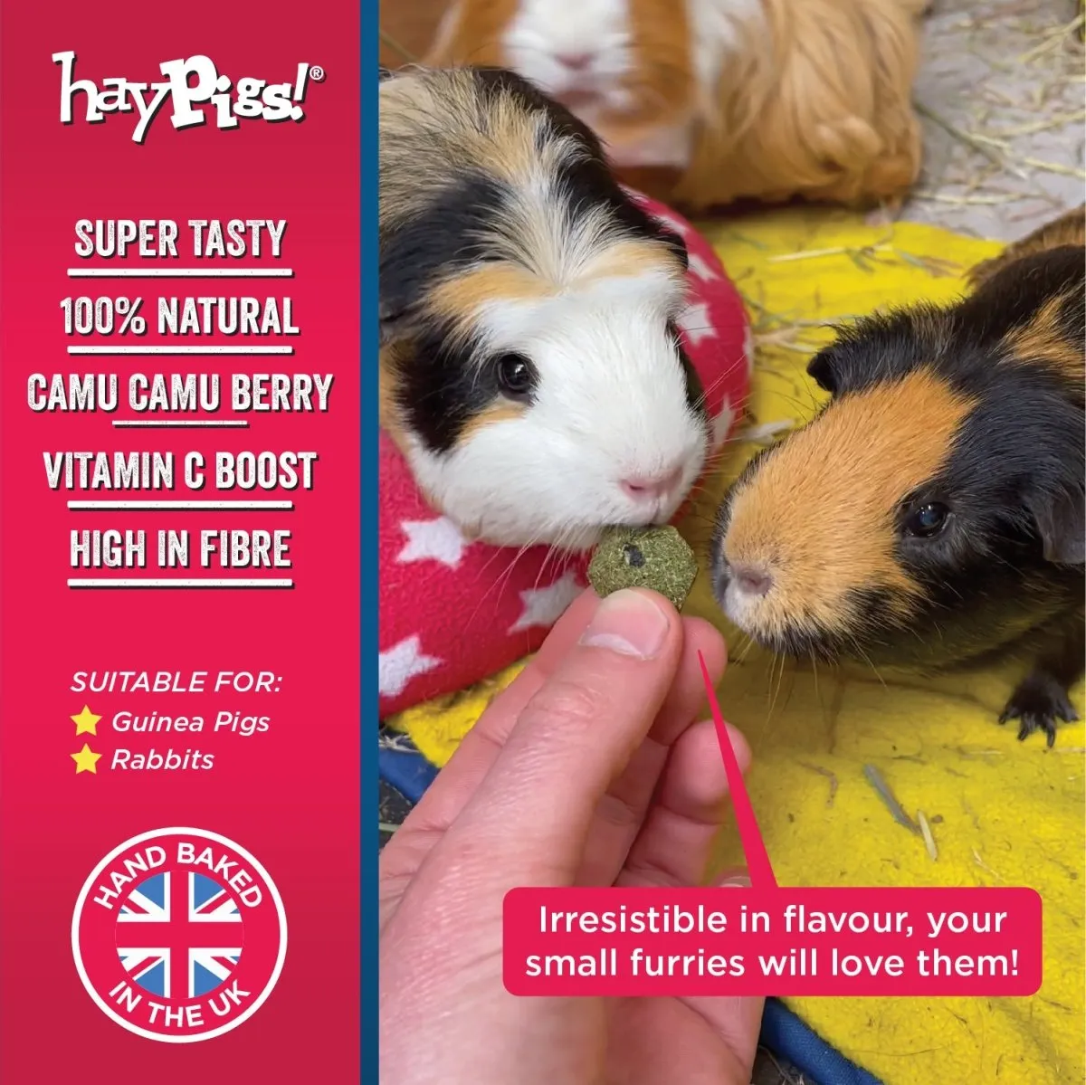 HayPigs Piggy Nom Noms snack 70g bosbes-basilicum